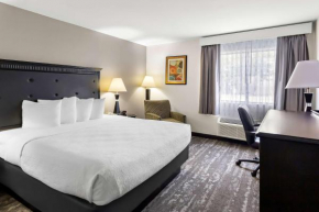 Best Western - Saluki Inn